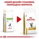 Сухой корм Royal Canin Urinary S/O - диетический корм для кошек при заболеваниях нижних мочевых путей, 1.5 кг (39010151) - изображение 2
