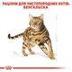 Сухой корм Royal Canin Bengal Adult – для взрослых кошек породы Бенгальская от 12 месяцев, 2 кг (4370020) - изображение 2