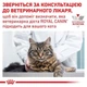 Влажный корм Royal Canin Gastrointestinal - консервы для кошек при нарушении пищеварения, 85 г (40390011) - изображение 7