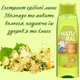 Шампунь Deliplus на 97% натуральный с экстрактом липы, эфирными маслами шалфея, кедра и оливки 400 мл. Natural - изображение 3