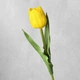 Тюльпан латексный искусственный большой светло-желтый - изображение 1