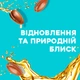 Кондиціонер OGX Argan oil of Morocco Відновлювальний з аргановою олією 385 мл (0022796976123) - изображение 4