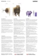 Картонний 3D пазл-конструктор Cartonic 3D Puzzle Capybara (CARTCAPY) - изображение 7