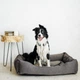 Лежак Harley and Cho Dreamer Gray XХL 120x80 cm Серый для собак (HC-003010067) - изображение 5