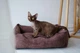 Лежак Harley and Cho Dreamer Brown Velvet L 90x60 cm Коричневий для собак (3100091) - зображення 9