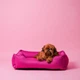 Лежак Harley and Cho Dreamer Berry XХL 120x80 cm Фуксия для собак (3100073) - изображение 7