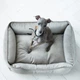 Лежак Harley and Cho Dreamer Velur Gray M 70x50 cm Серый для собак и кошек (HC-003102741) - изображение 4
