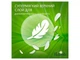 Прокладки щоденні NATURELLA Сamomile Light 20шт - изображение 7