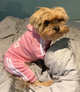 Костюм спортивный для собак Adidog Розовый S - изображение 5