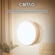 Акумуляторні LED-лампи з вбудованим датчиком руху LightGuard, 2 штуки - зображення 2