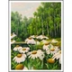 Картина за номерами 30х40 см DIY (без коробки) Ромашки (EKTL1494_O) - зображення 1
