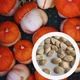 Тыква мини Тюрбан семена (10 шт) для декора турецкий желудь декоративная - изображение 1