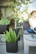 Горшок для цветов (кашпо) Keter Cube Planter L (17201220) Антрацит - изображение 7