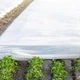 Агроволокно 1,6х10м 42 г/м² Белое Agreen - изображение 3