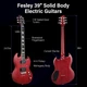 Электрогитара Fesley FSG350 BR (комплект) - изображение 3