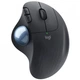 Компьютерная мышка беспроводная Logitech Ergo M575 for Business Wireless Trackball Graphite - изображение 1