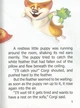 Малюк Коргі вчиться рахувати. Little Corgi Learns to count. Книжка-білінгва. Стукман Наталія - зображення 3
