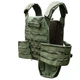 Плитоноска (Plate Carrier KARGO) OLIVE з напашным подсумком - зображення 3