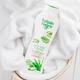 Гель для душу "Алое вера та жожоба" Tulipan Negro Shower Gel Aloe Vera & Jojoba - зображення 2