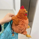 Мягкая игрушка курица Jeycat Hen мультяшная кукла-петух, 23 см, Velice - изображение 3