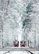 Листівка Cardsforsoul Трамвай №12 (Пуща-Водиця — Київ) 10,5 Х 14,8 см - изображение 1