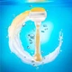Станок Gillette Venus OLAY (2) - изображение 4