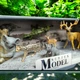 Ігровий набір Zhongjlieming Toys Дикі тварини з дикораціями 6 єлементів - зображення 3