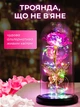 Троянда в колбі нічник вічні квіти з LED підсвіткою стильний романтичний декор на батарейках - зображення 2
