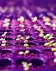 Фитолампа для роста растений на 4 лампы, светодиодная LED фито лампа на прищепке светильник для комнатных растений рассады (черная) - изображение 6
