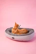 Овальный Лежак Harley and Cho Donut Soft Touch Gray L 100х70х21 cm Серый для собак (3102862) - изображение 7