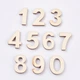 Кабошоны Деревянные Цифры, Светло-коричневый, 29~30x12.5~23x3.5~4 мм, Комплект 10шт - изображение 1
