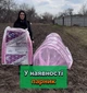 Парник 4 м. из пленки 100 мкм Shadow теплица - изображение 8