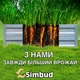 Грядка металева зелена SIMBUD 1мx2мx0.15м для дачи та огороду - зображення 4