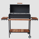 Мангал-гриль барбекю Vesuvi BBQ Wood 800 на 13 шампурів (m-Wood800) - зображення 2