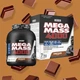 Гейнер для набора массы Weider Mega Mass 4000 Mass Gainer 3 кг Шоколад (4044782325452) - изображение 4