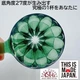 Пуровер Cafec Deep 27 Tritan Flower Dripper Dark Green (2095247387EE) - изображение 4