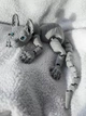 Кот Сфинкс 3D подвижная игрушка серый 30 см. - изображение 4
