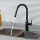 Смеситель с выдвижным изливом для кухни GAPPO G4398-46 черный - изображение 3