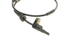 Датчик ABS задній BMW X3 F25/4 F26 12-18 L=654mm - 45020200 TEXTAR - зображення 3