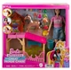 Barbie The Great Horse Chase Лялька барбі Рене ігровий набір HXJ40 - зображення 1