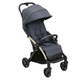Коляска Chicco Goody XPlus Сіра 8058664173051 [116391] - изображение 1