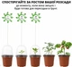 Горшки для рассады с крышками, мини-теплица для рассады (коричневые, 10 шт.) - изображение 5