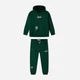 Підлітковий спортивний костюм (худі + штани) для хлопчика Minoti 23fleece123 42578TEN 158-164 см Зелений (5063025439076) - зображення 1