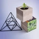Подарочный набор для выращивания растений FLORA CUBE "Мелиса" - изображение 3