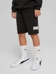 Подростковые шорты на резинке для мальчика Puma Ess No. 1 Logo Tr 68491801 140 см Black (4067983668258) - изображение 1