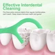Флос-зубочистки Dental Fresh мʼята 150 шт - зображення 5
