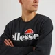 Мужской Свитшот Ellesse SL Succiso Sweatshirt Темно-серый 2XL (7dSHC07930-106 2XL) - изображение 3