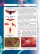 Світ довкола нас. Віруси/Котка Аліна/9789669873620 - зображення 4