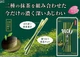 Японские палочки Glico Pocky Классическая Матча 2шт 61.6г - изображение 6
