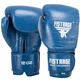 Перчатки боксерские кожаные на липучке Fistrage Fight Gear 5561 размер 10 унций Blue - изображение 1